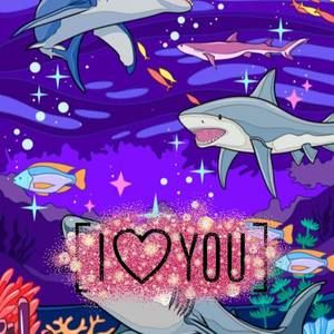 Meet your Posher, Carmen